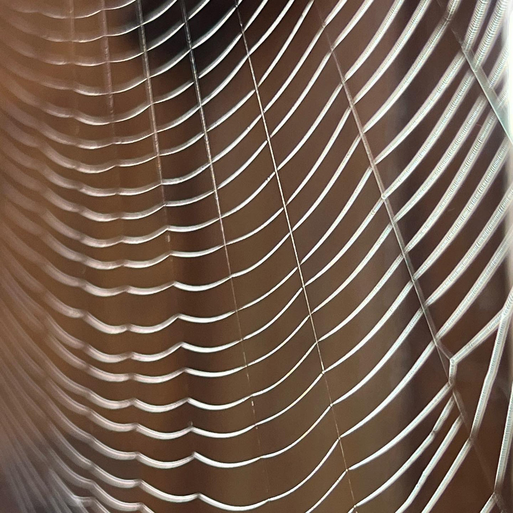 A closeup of a spider web that is shining in the sun