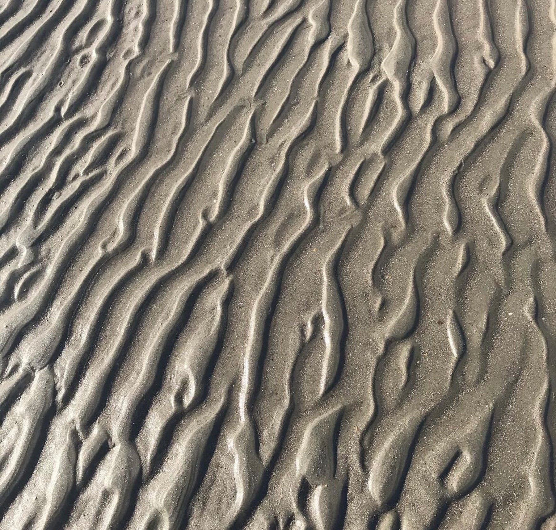 A closeup of sand after low tide