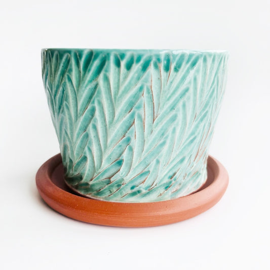 Ceramic planter with leaf pattern on a white background