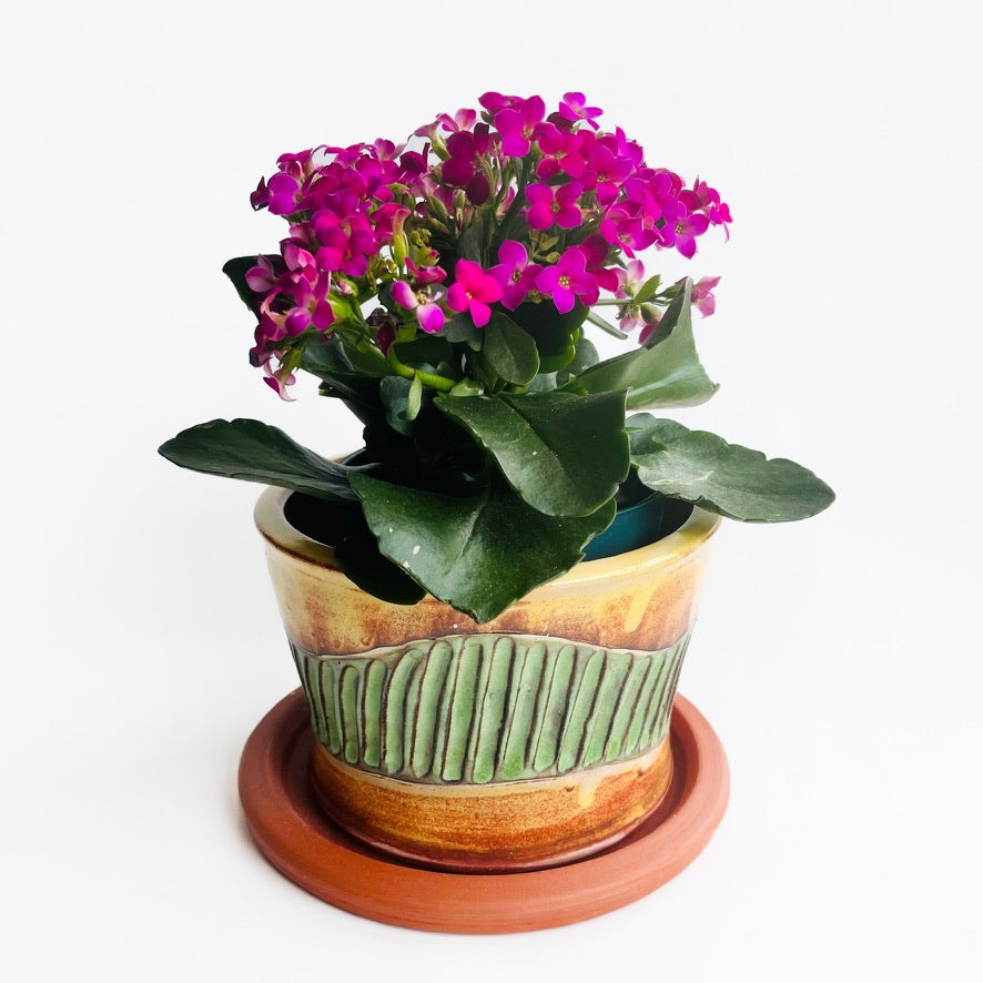 Carved Planter