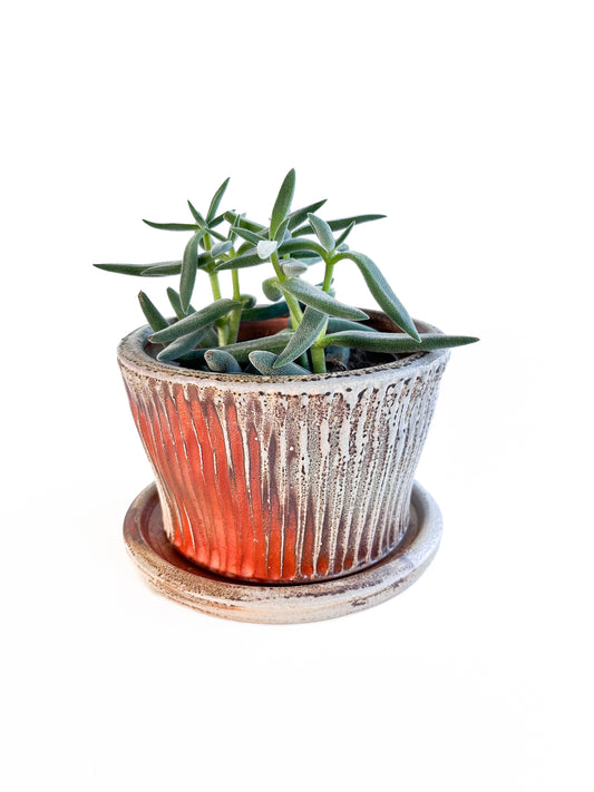 This wheel thrown handmade stoneware planter looks beautiful with a favorite plant inside! There is a saucer to catch the water that is included.