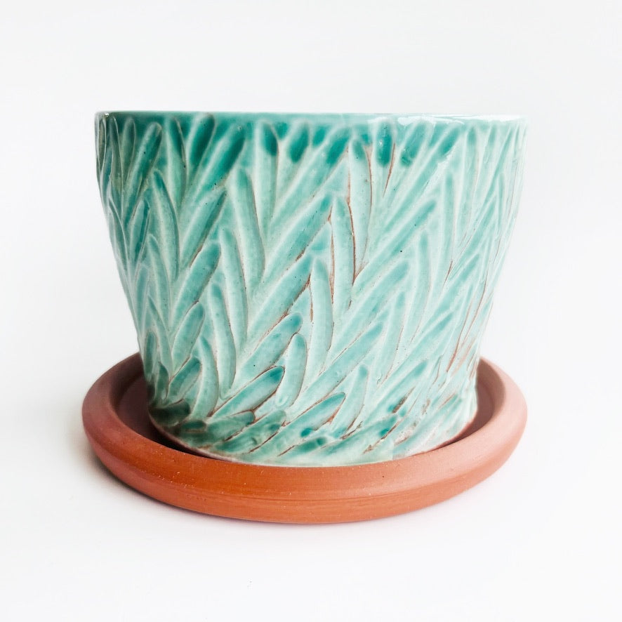 Ceramic planter with leaf pattern on a white background